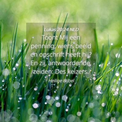 Picture 04 - Lukas 20:24 NLD - Toont Mij een penning; wiens beeld en opschrift - Bible Verse Picture