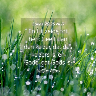 Picture 04 - Lukas 20:25 NLD - En Hij zeide tot hen: Geeft dan den keizer, dat - Bible Verse Picture