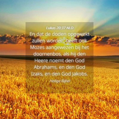 Picture 04 - Lukas 20:37 NLD - En dat de doden opgewekt zullen worden, heeft ook - Bible Verse Picture
