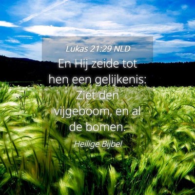 Picture 04 - Lukas 21:29 NLD - En Hij zeide tot hen een gelijkenis: Ziet den - Bible Verse Picture