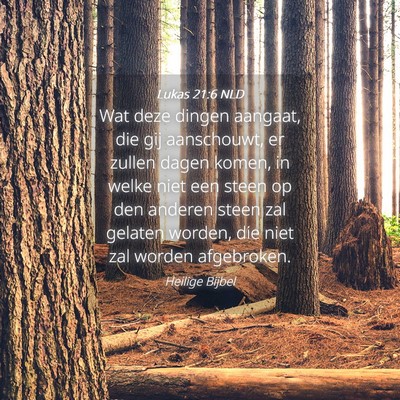 Picture 04 - Lukas 21:6 NLD - Wat deze dingen aangaat, die gij aanschouwt, er - Bible Verse Picture