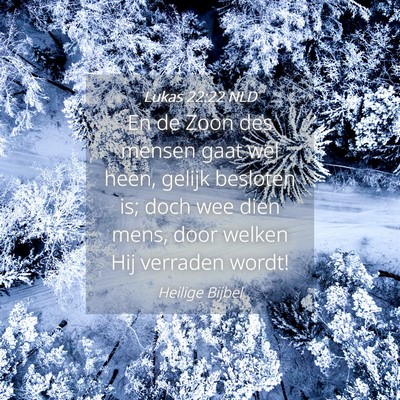 Picture 04 - Lukas 22:22 NLD - En de Zoon des mensen gaat wel heen, gelijk - Bible Verse Picture