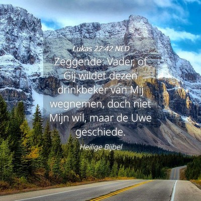 Picture 04 - Lukas 22:42 NLD - Zeggende: Vader, of Gij wildet dezen drinkbeker - Bible Verse Picture