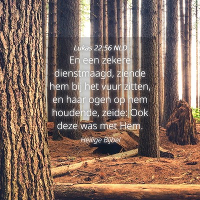 Picture 04 - Lukas 22:56 NLD - En een zekere dienstmaagd, ziende hem bij het - Bible Verse Picture