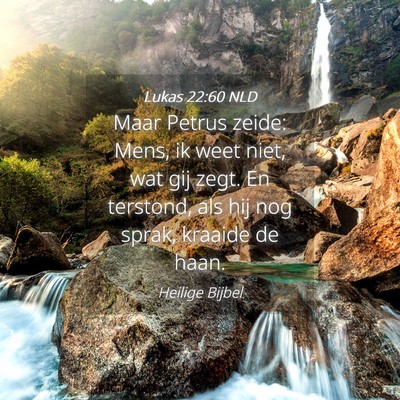 Picture 04 - Lukas 22:60 NLD - Maar Petrus zeide: Mens, ik weet niet, wat gij - Bible Verse Picture