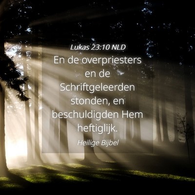 Picture 04 - Lukas 23:10 NLD - En de overpriesters en de Schriftgeleerden - Bible Verse Picture