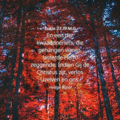 Picture 04 - Lukas 23:39 NLD - En een der kwaaddoeners, die gehangen waren, - Bible Verse Picture