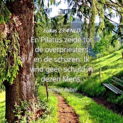 Picture 04 - Lukas 23:4 NLD - En Pilatus zeide tot de overpriesters en de - Bible Verse Picture