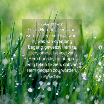 Picture 04 - Lukas 23:8 NLD - En als Herodes Jezus zag, werd hij zeer verblijd; - Bible Verse Picture