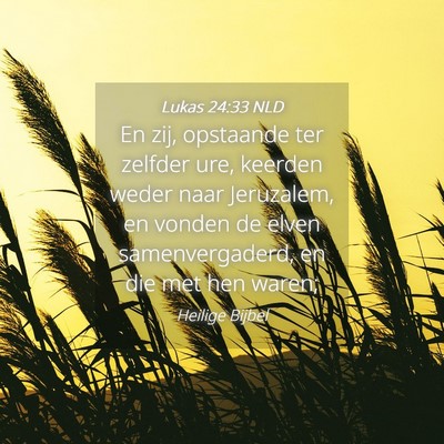 Picture 04 - Lukas 24:33 NLD - En zij, opstaande ter zelfder ure, keerden weder - Bible Verse Picture