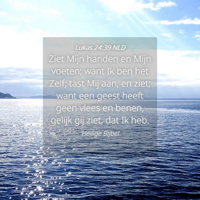 Picture 04 - Lukas 24:39 NLD - Ziet Mijn handen en Mijn voeten; want Ik ben het - Bible Verse Picture