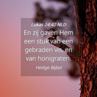 Picture 04 - Lukas 24:42 NLD - En zij gaven Hem een stuk van een gebraden vis, - Bible Verse Picture