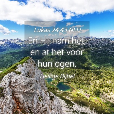 Picture 04 - Lukas 24:43 NLD - En Hij nam het, en at het voor hun - Bible Verse Picture