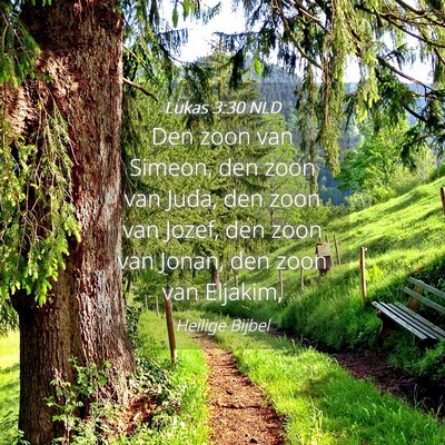Picture 04 - Lukas 3:30 NLD - Den zoon van Simeon, den zoon van Juda, den zoon - Bible Verse Picture