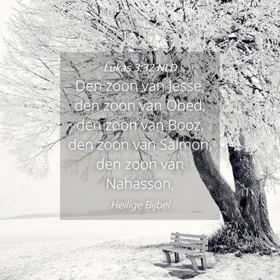 Picture 04 - Lukas 3:32 NLD - Den zoon van Jesse, den zoon van Obed, den zoon - Bible Verse Picture