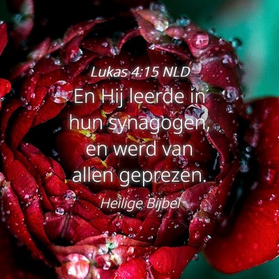 Picture 04 - Lukas 4:15 NLD - En Hij leerde in hun synagogen, en werd van allen - Bible Verse Picture