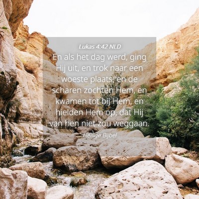 Picture 04 - Lukas 4:42 NLD - En als het dag werd, ging Hij uit, en trok naar - Bible Verse Picture