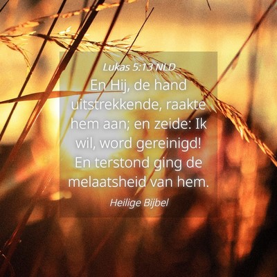 Picture 04 - Lukas 5:13 NLD - En Hij, de hand uitstrekkende, raakte hem aan; en - Bible Verse Picture