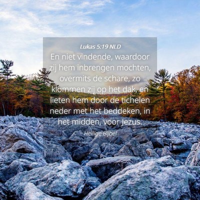 Picture 04 - Lukas 5:19 NLD - En niet vindende, waardoor zij hem inbrengen - Bible Verse Picture