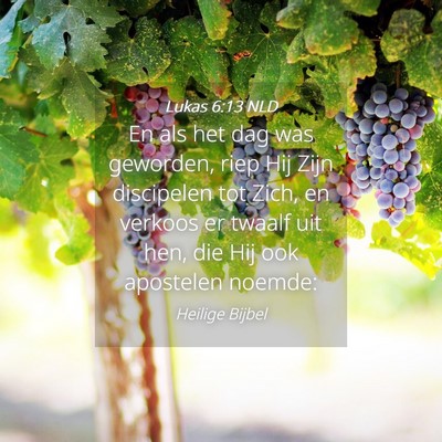Picture 04 - Lukas 6:13 NLD - En als het dag was geworden, riep Hij Zijn - Bible Verse Picture
