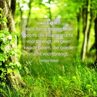 Picture 04 - Lukas 6:43 NLD - Want het is geen goede boom, die kwade vrucht - Bible Verse Picture