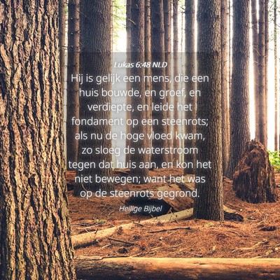 Picture 04 - Lukas 6:48 NLD - Hij is gelijk een mens, die een huis bouwde, en - Bible Verse Picture