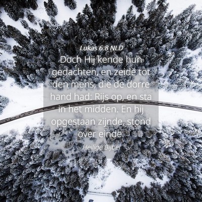 Picture 04 - Lukas 6:8 NLD - Doch Hij kende hun gedachten, en zeide tot den - Bible Verse Picture