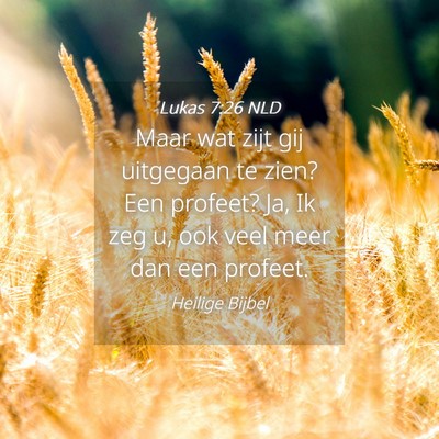 Picture 04 - Lukas 7:26 NLD - Maar wat zijt gij uitgegaan te zien? Een profeet? - Bible Verse Picture