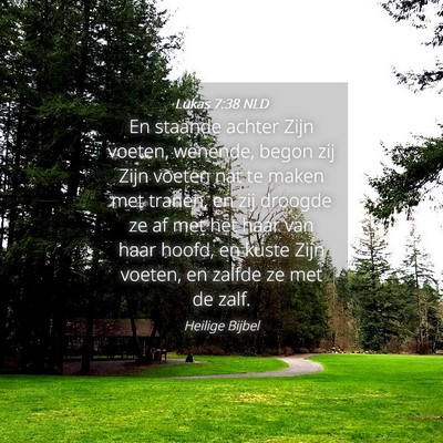 Picture 04 - Lukas 7:38 NLD - En staande achter Zijn voeten, wenende, begon zij - Bible Verse Picture