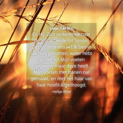 Picture 04 - Lukas 7:44 NLD - En Hij, Zich omkerende naar de vrouw, zeide tot - Bible Verse Picture