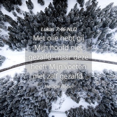 Picture 04 - Lukas 7:46 NLD - Met olie hebt gij Mijn hoofd niet gezalfd; maar - Bible Verse Picture