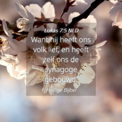 Picture 04 - Lukas 7:5 NLD - Want hij heeft ons volk lief, en heeft zelf ons - Bible Verse Picture
