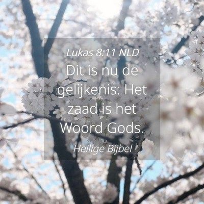 Picture 04 - Lukas 8:11 NLD - Dit is nu de gelijkenis: Het zaad is het Woord - Bible Verse Picture