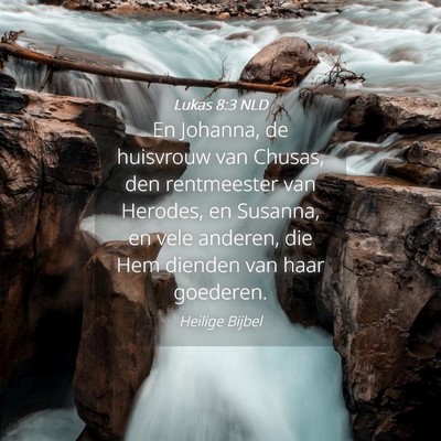 Picture 04 - Lukas 8:3 NLD - En Johanna, de huisvrouw van Chusas, den - Bible Verse Picture
