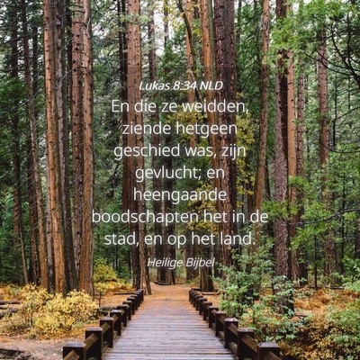 Picture 04 - Lukas 8:34 NLD - En die ze weidden, ziende hetgeen geschied was, - Bible Verse Picture