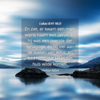 Picture 04 - Lukas 8:41 NLD - En ziet, er kwam een man, wiens naam was Jairus, - Bible Verse Picture