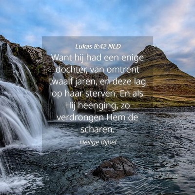 Picture 04 - Lukas 8:42 NLD - Want hij had een enige dochter, van omtrent - Bible Verse Picture