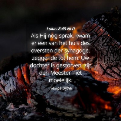 Picture 04 - Lukas 8:49 NLD - Als Hij nog sprak, kwam er een van het huis des - Bible Verse Picture