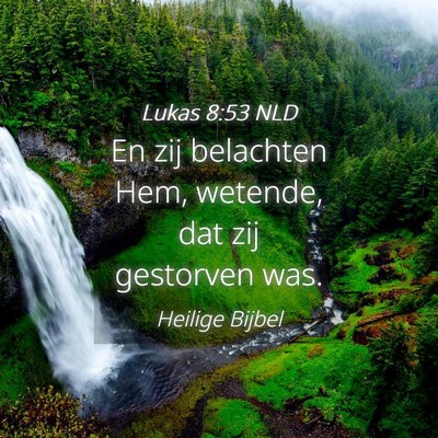 Picture 04 - Lukas 8:53 NLD - En zij belachten Hem, wetende, dat zij gestorven - Bible Verse Picture
