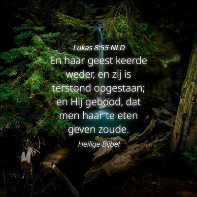 Picture 04 - Lukas 8:55 NLD - En haar geest keerde weder, en zij is terstond - Bible Verse Picture