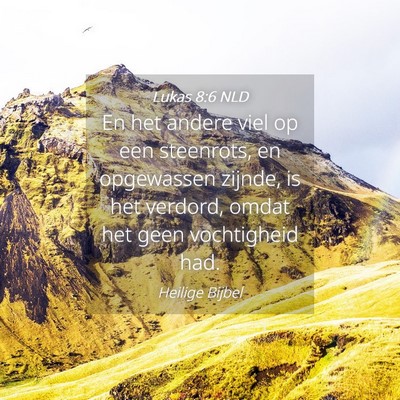 Picture 04 - Lukas 8:6 NLD - En het andere viel op een steenrots, en - Bible Verse Picture
