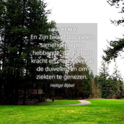 Picture 04 - Lukas 9:1 NLD - En Zijn twaalf discipelen samengeroepen hebbende, - Bible Verse Picture