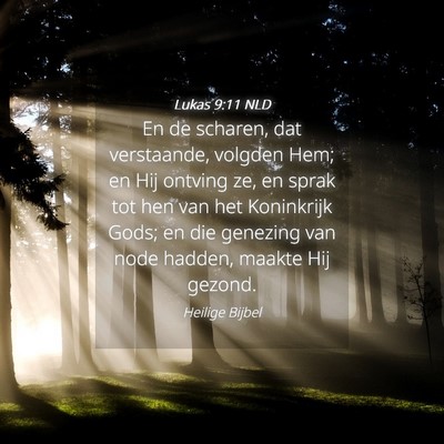 Picture 04 - Lukas 9:11 NLD - En de scharen, dat verstaande, volgden Hem; en - Bible Verse Picture