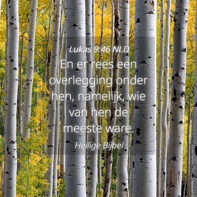 Picture 04 - Lukas 9:46 NLD - En er rees een overlegging onder hen, namelijk, - Bible Verse Picture