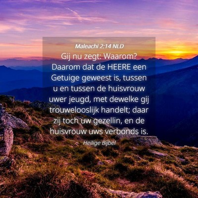 Picture 04 - Maleachi 2:14 NLD - Gij nu zegt: Waarom? Daarom dat de HEERE een - Bible Verse Picture