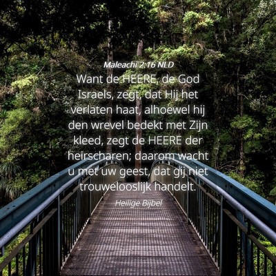 Picture 04 - Maleachi 2:16 NLD - Want de HEERE, de God Israels, zegt, dat Hij het - Bible Verse Picture