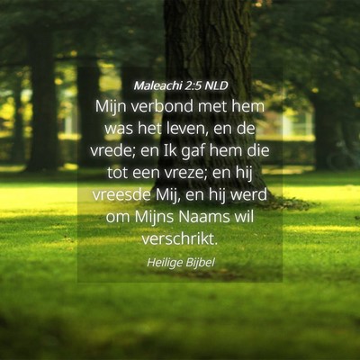 Picture 04 - Maleachi 2:5 NLD - Mijn verbond met hem was het leven, en de vrede; - Bible Verse Picture