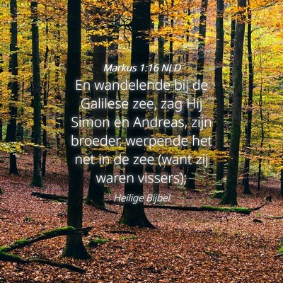 Picture 04 - Markus 1:16 NLD - En wandelende bij de Galilese zee, zag Hij Simon - Bible Verse Picture