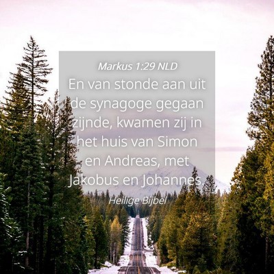 Picture 04 - Markus 1:29 NLD - En van stonde aan uit de synagoge gegaan zijnde, - Bible Verse Picture