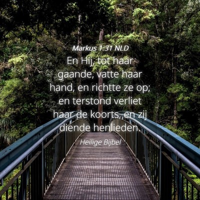 Picture 04 - Markus 1:31 NLD - En Hij, tot haar gaande, vatte haar hand, en - Bible Verse Picture